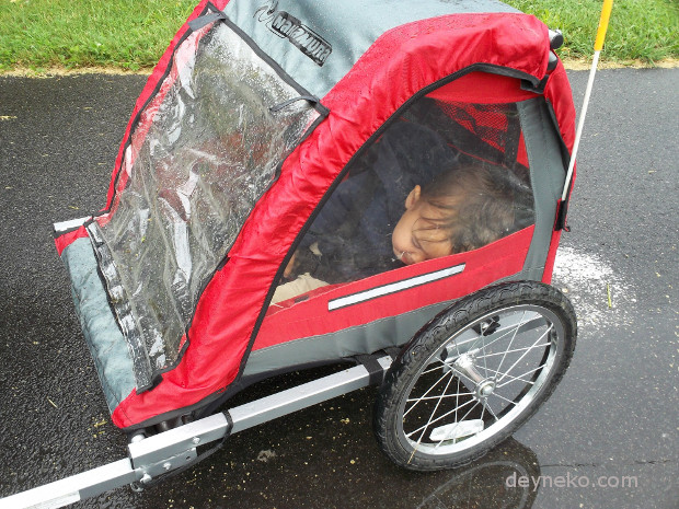 Car seat in online bike trailer