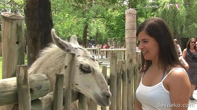 Zoo Granby animaux