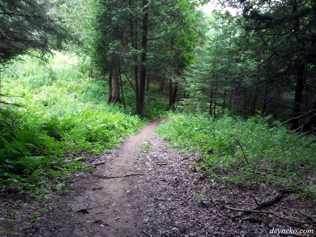 Beaux pistes pour faire du vélo dans la parc de la george de coaticook